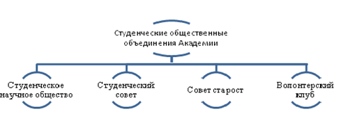 Студенческие общественные объединения Академии: студенческое научное общество, студенческий совет, совет старост, волонтёрский клуб